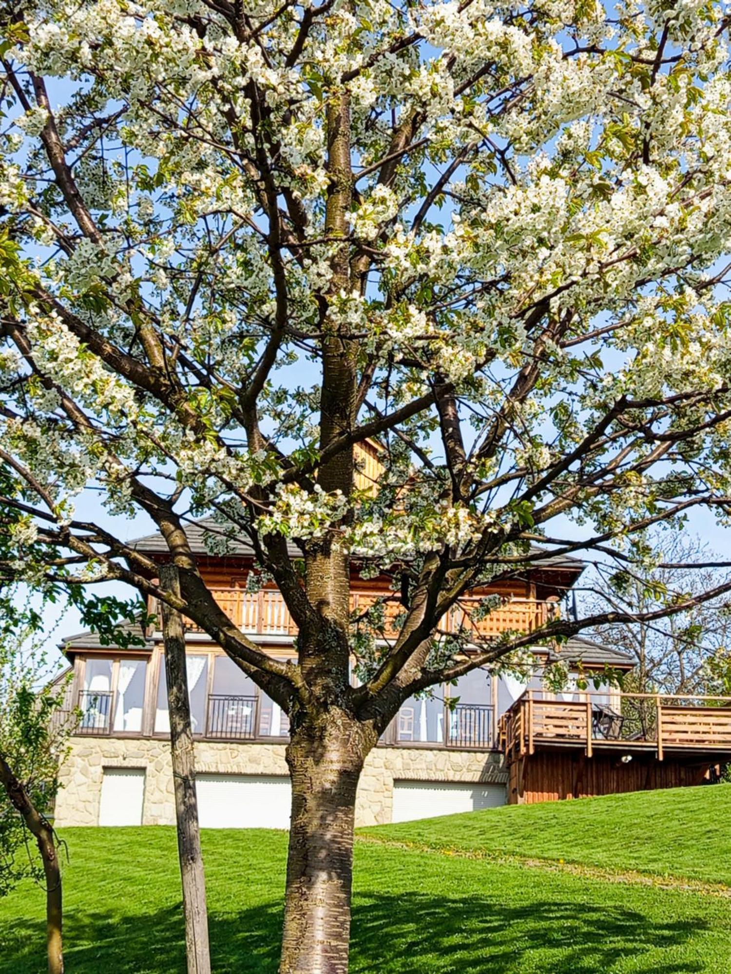 Bed and Breakfast Dom Na Rozcesciu Конякув Экстерьер фото